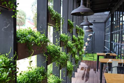 Pilihan Garden Cafe yang Instagramable di Jakarta